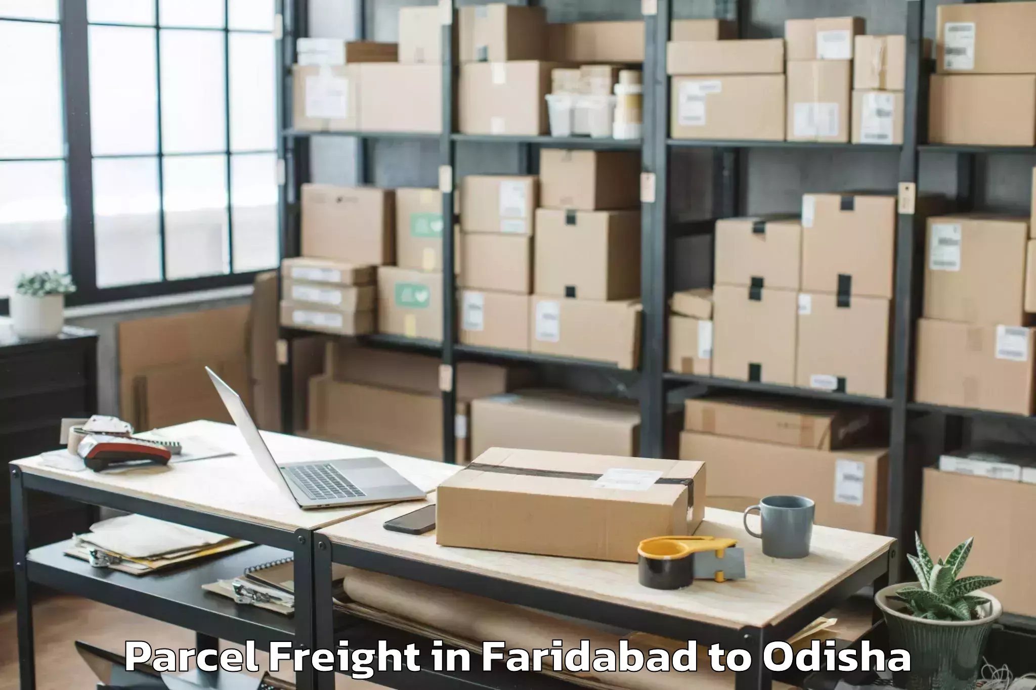 Leading Faridabad to Odagaon Parcel Freight Provider